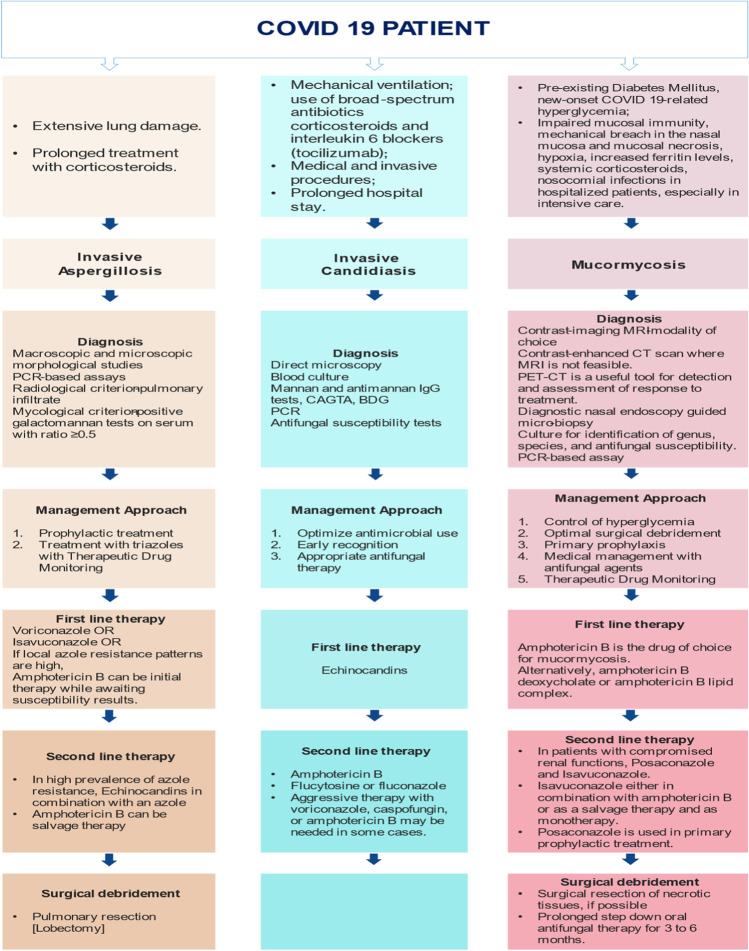 When to Initiate Antifungal Treatment in COVID-19 Patients with Secondary Fungal Co-infection.