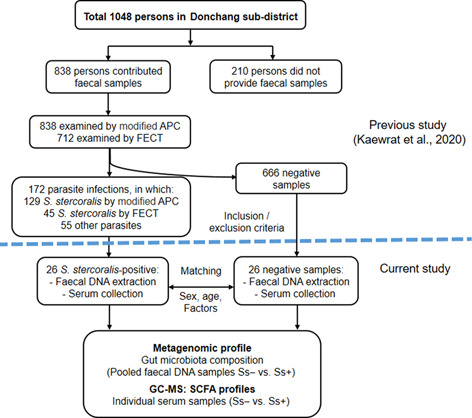 Investigation of gut microbiota and short-chain fatty acids in <i>Strongyloides stercoralis</i>-infected patients in a rural community.