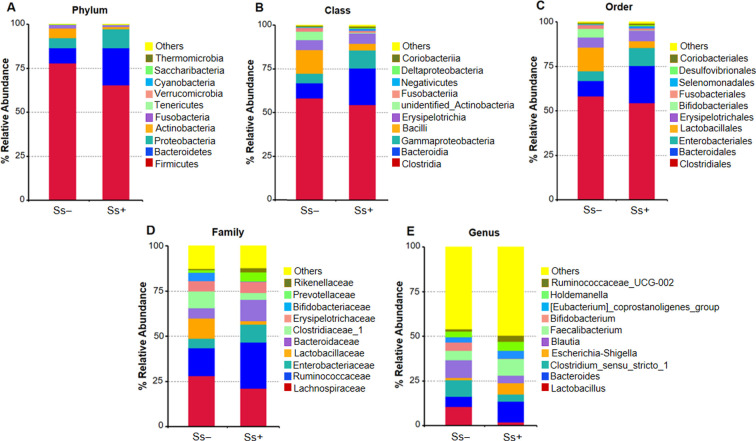 Investigation of gut microbiota and short-chain fatty acids in <i>Strongyloides stercoralis</i>-infected patients in a rural community.