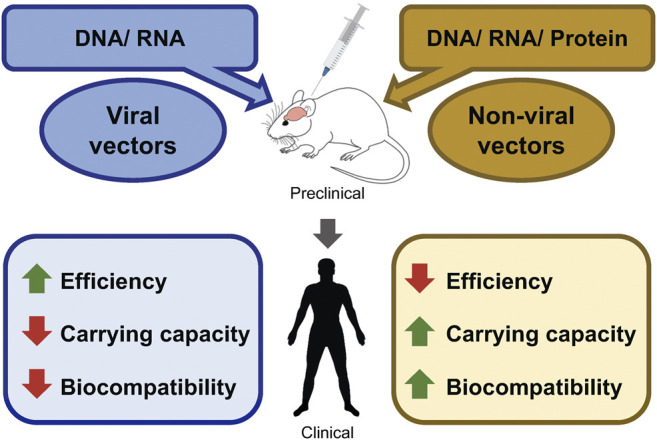 Gene Therapy: The Next-Generation Therapeutics and Their Delivery Approaches for Neurological Disorders.