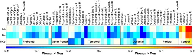 Brain functional topology differs by sex in cognitively normal older adults.