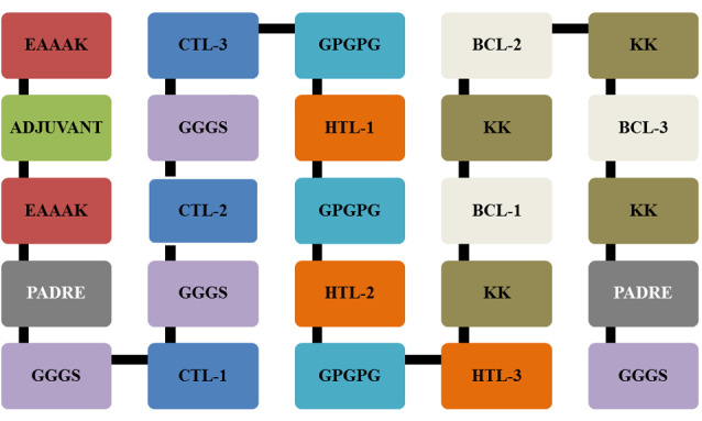Designing multi-epitope based peptide vaccine candidates against SARS-CoV-2 using immunoinformatics approach.