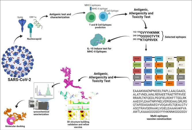Designing multi-epitope based peptide vaccine candidates against SARS-CoV-2 using immunoinformatics approach.