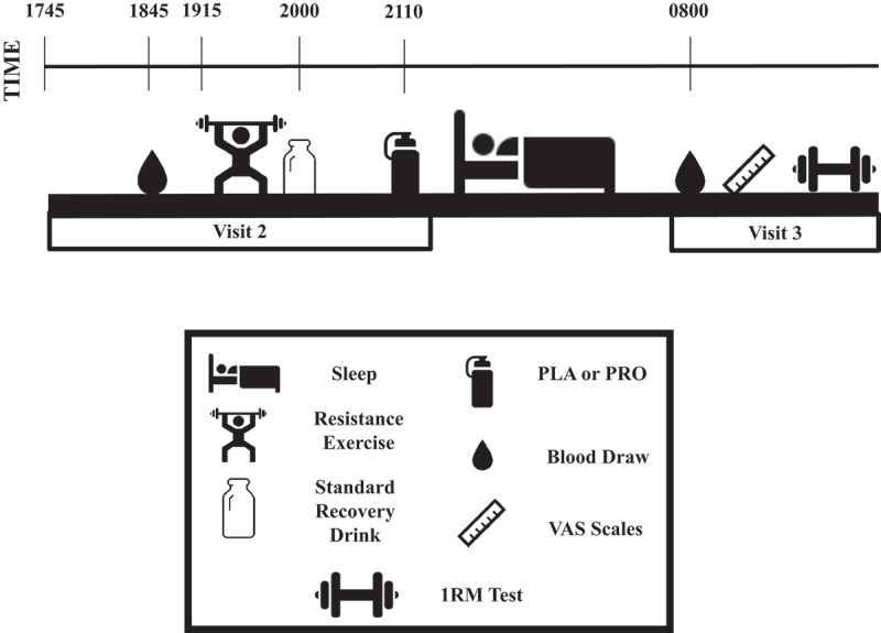 Pre-sleep protein supplementation after an acute bout of evening resistance exercise does not improve next day performance or recovery in resistance trained men.