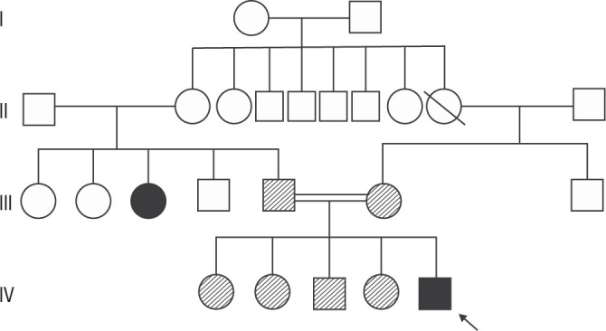 The efficiency of cinacalcet treatment in delaying parathyroidectomy in a case with neonatal severe hyperparathyroidism caused by homozygous mutation in the CASR gene.