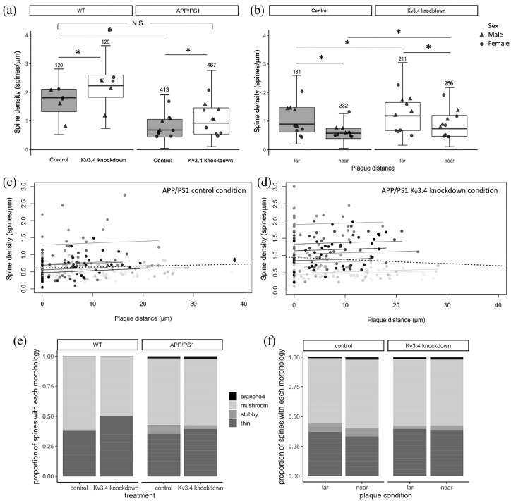 Reducing voltage-dependent potassium channel Kv3.4 levels ameliorates synapse loss in a mouse model of Alzheimer's disease.