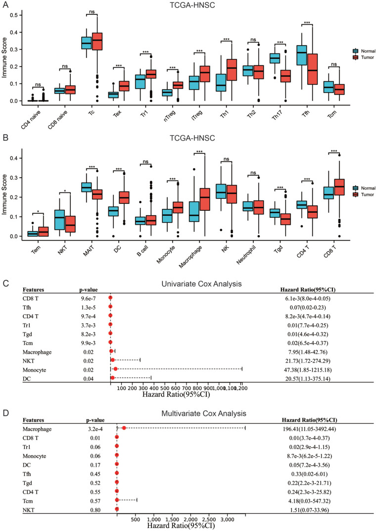 Identifying the Therapeutic and Prognostic Role of the CD8+ T Cell-Related Gene ALDH2 in Head and Neck Squamous Cell Carcinoma.