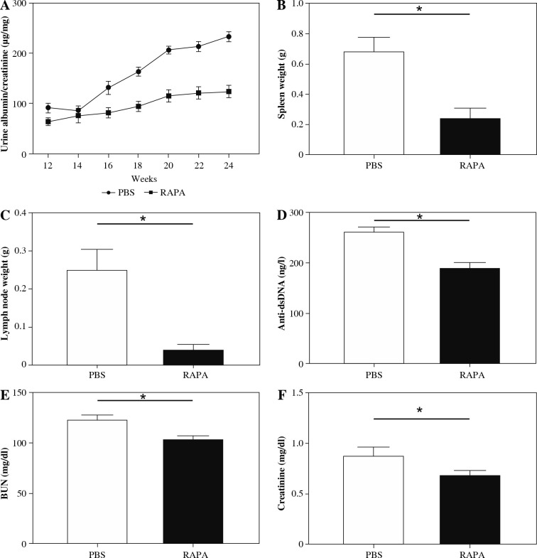 Rapamycin relieves lupus nephritis by regulating TIM-3 and CD4<sup>+</sup>CD25<sup>+</sup>Foxp3<sup>+</sup> Treg cells in an MRL/lpr mouse model.