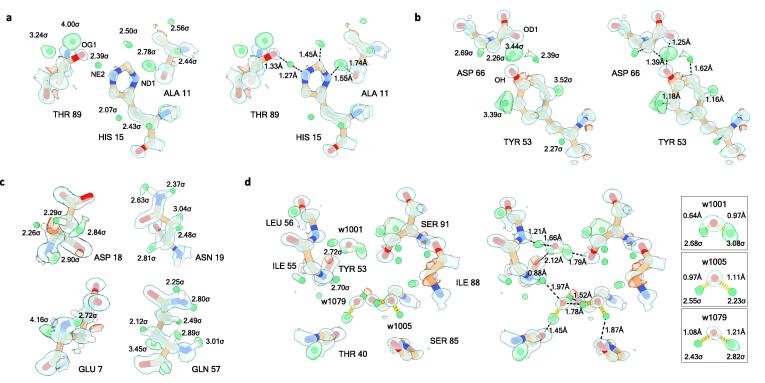 Hydrogens and hydrogen-bond networks in macromolecular MicroED data