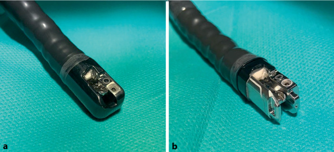 [Single-use products in endoscopy-from consumables to single-use scopes].