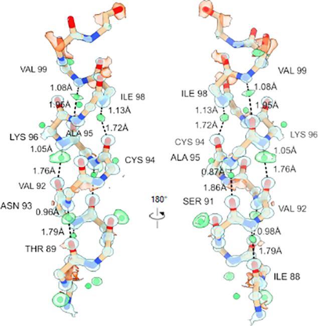 Hydrogens and hydrogen-bond networks in macromolecular MicroED data