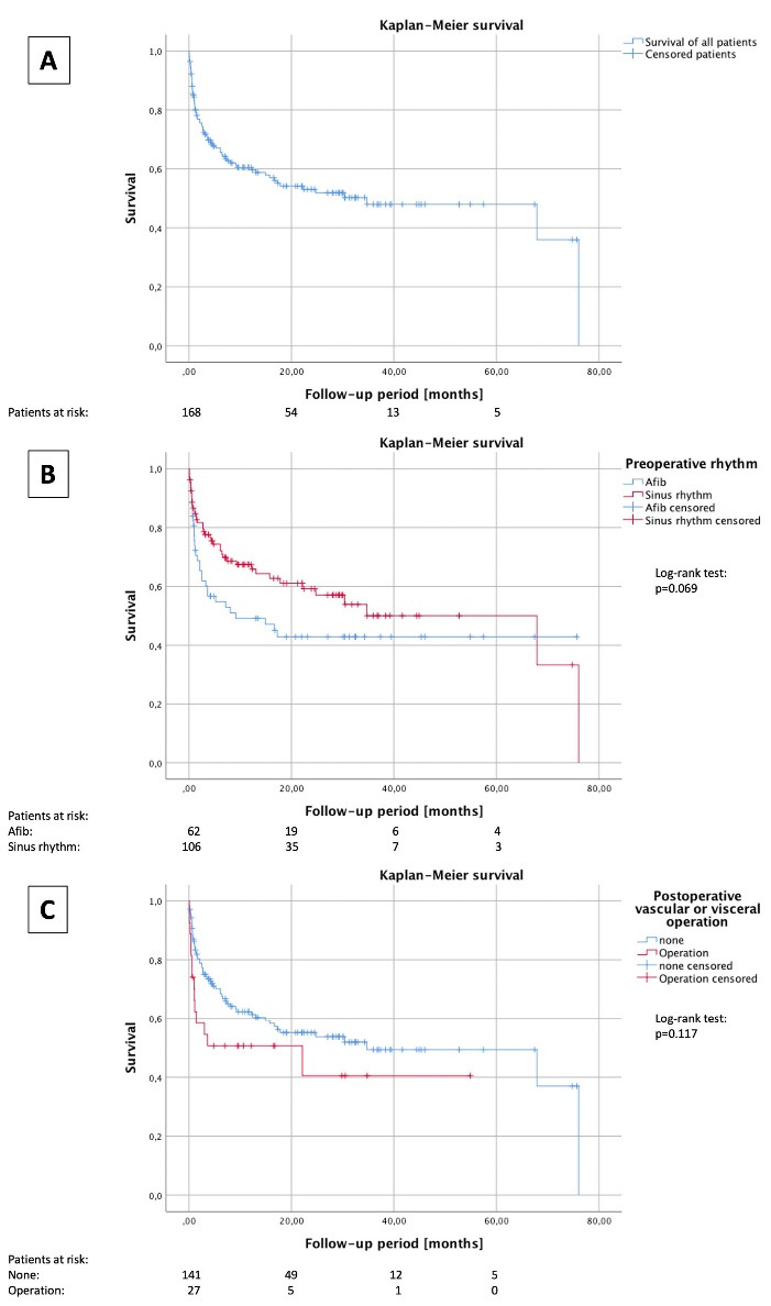 Preoperative atrial fibrillation predicts worse outcomes after LVAD implantation.