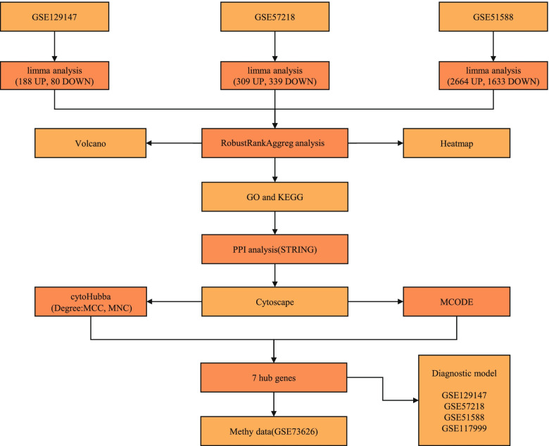 Identification and development of the novel 7-genes diagnostic signature by integrating multi cohorts based on osteoarthritis.