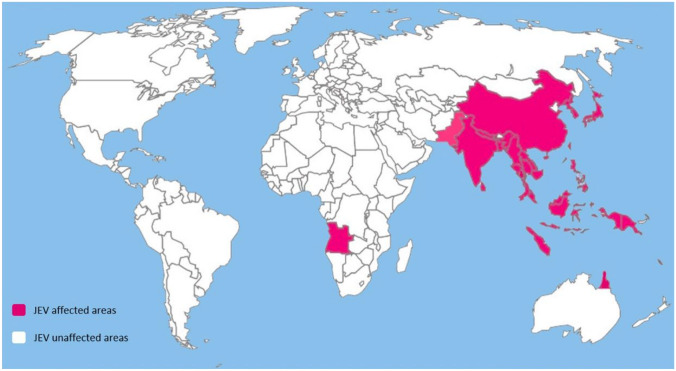 Interventions for the Prevention and Treatment of Japanese Encephalitis.