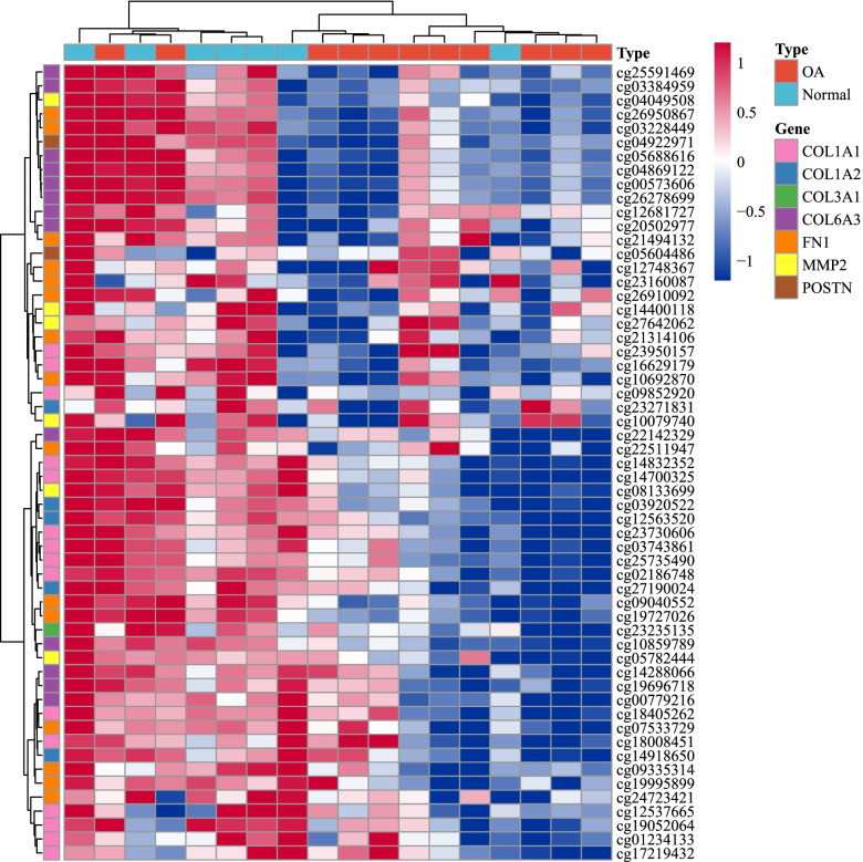 Identification and development of the novel 7-genes diagnostic signature by integrating multi cohorts based on osteoarthritis.