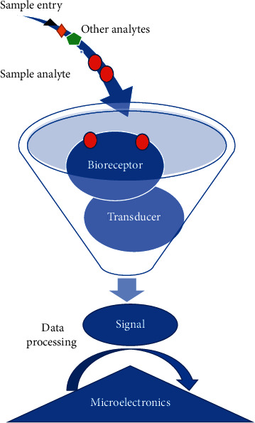 Recent Progress in Nanobiosensors for Precise Detection of Blood Glucose Level.