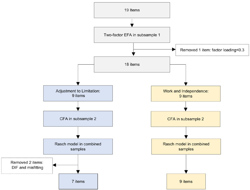 A Psychosocial Adjustment Measure for Persons With Upper Limb Amputation.