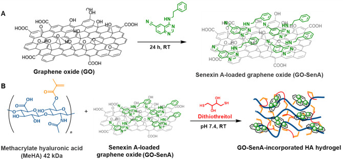 Graphene-incorporated hyaluronic acid-based hydrogel as a controlled Senexin A delivery system.