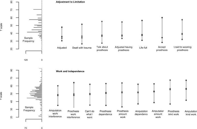 A Psychosocial Adjustment Measure for Persons With Upper Limb Amputation.