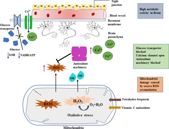 Biotechnological potentials of halophilic microorganisms and their impact on mankind.