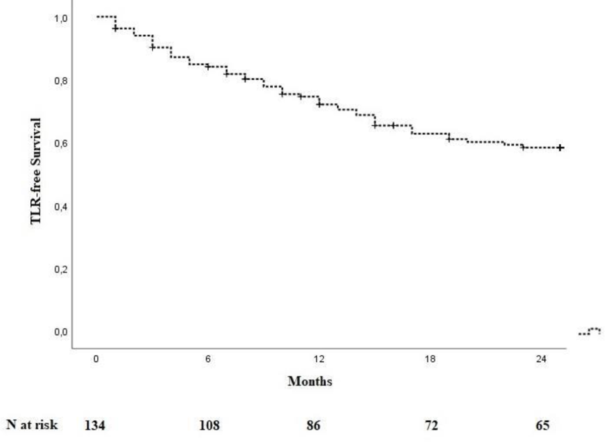 Early Results after Exclusion of Popliteal Aneurysms with an Endoprosthesis.