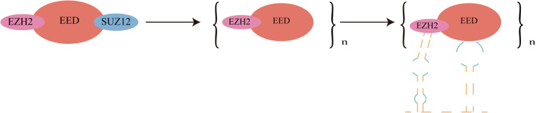 Progress of HOTAIR-microRNA in hepatocellular carcinoma.