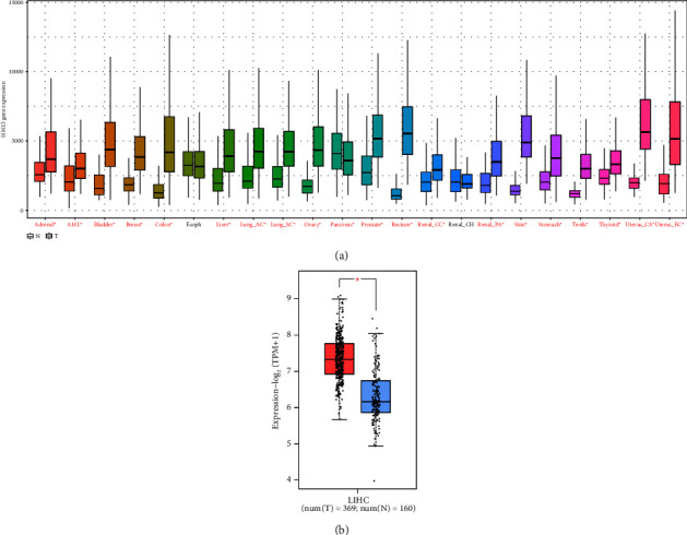 Overexpressed Histocompatibility Minor 13 was Associated with Liver Hepatocellular Carcinoma Progression and Prognosis.