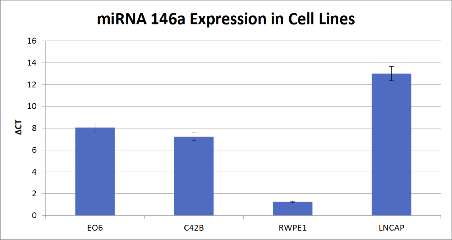 A Study to Investigate the Role of Noncoding RNA miR146 Alpha as a Potential Biomarker in Prostate Cancer.