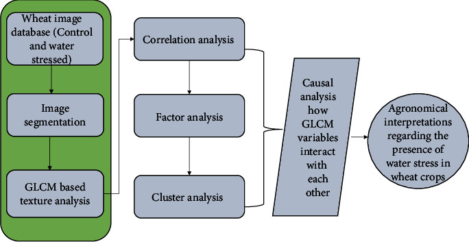 Inferring Agronomical Insights for Wheat Canopy Using Image-Based Curve Fit <i>K</i>-Means Segmentation Algorithm and Statistical Analysis.