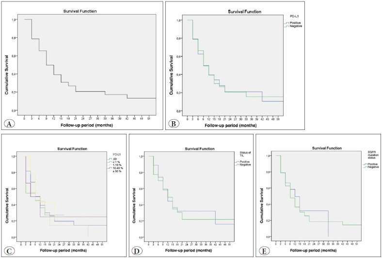 Programmed Cell Death Ligand 1 Expression in Cytological and Surgical Non-Small Cell Lung Cancer Specimens in Association with EGFR Mutation and Overall Survival: A Single-Institution Experience.