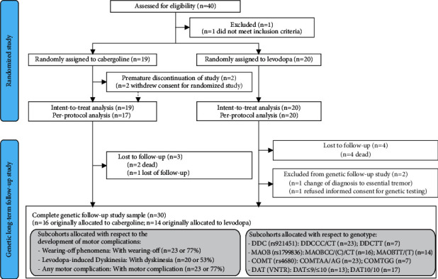 Functional <i>MAOB</i> Gene Intron 13 Polymorphism Predicts Dyskinesia in Parkinson's Disease.