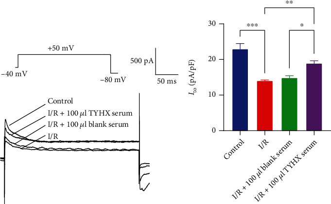 The Effect of the Tongyang Huoxue Recipe (TYHX) on the <i>I</i> <sub>to</sub>/<i>I</i> <sub>Kur</sub> in Ischemia/Reperfusion Sinoatrial Node Cells.