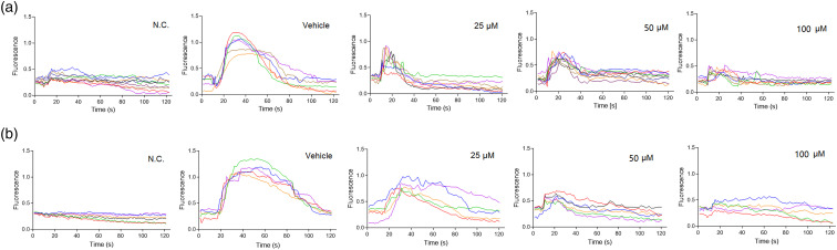 Licochalcone A inhibits IgE-mediated allergic reaction through PLC/ERK/STAT3 pathway.