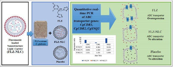 Role of nanostructured lipid carriers in the expression alterations of ATP-binding cassette transporter genes in fluconazole-resistant <i>Candida glabrata</i>.