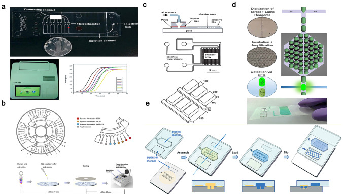 Loop-Mediated Isothermal Amplification-Based Microfluidic Platforms for the Detection of Viral Infections.