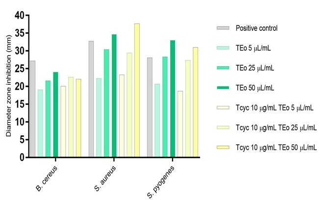 Assessment of the Biological Activity of Thyme Essential Oil in the Presence of the Classic Antibiotic Tetracycline.