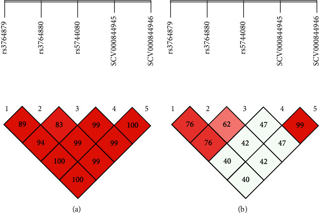 <i>TLR-8</i>, <i>TNF-α</i>, and <i>ESR-1α</i> Gene Polymorphism Susceptibility in Onset of Arthritis.