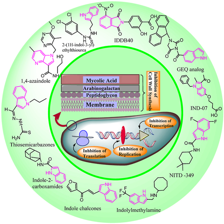 Indole: A promising scaffold for the discovery and development of potential anti-tubercular agents