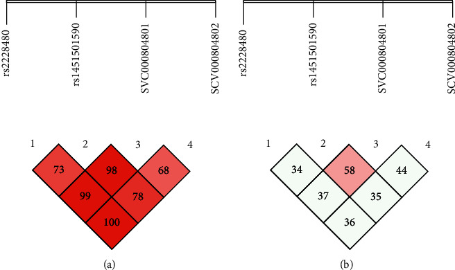 <i>TLR-8</i>, <i>TNF-α</i>, and <i>ESR-1α</i> Gene Polymorphism Susceptibility in Onset of Arthritis.