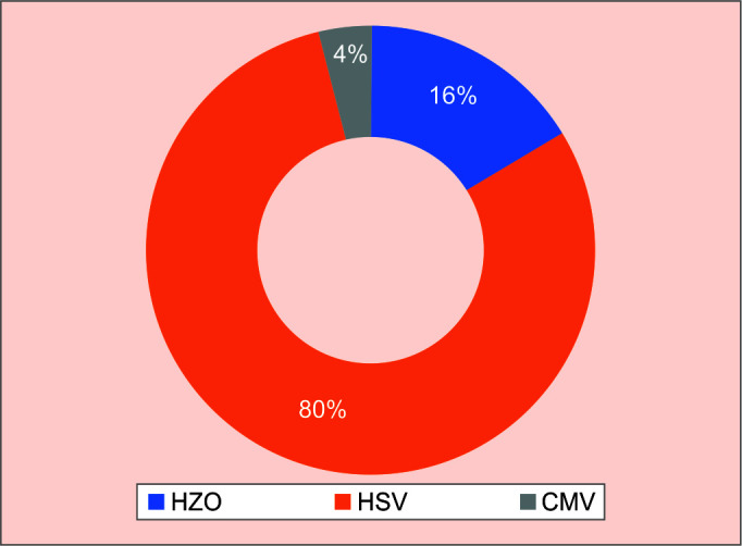 Glaucoma in Viral Keratouveitis: A Retrospective Review at a Tertiary Eye Hospital.