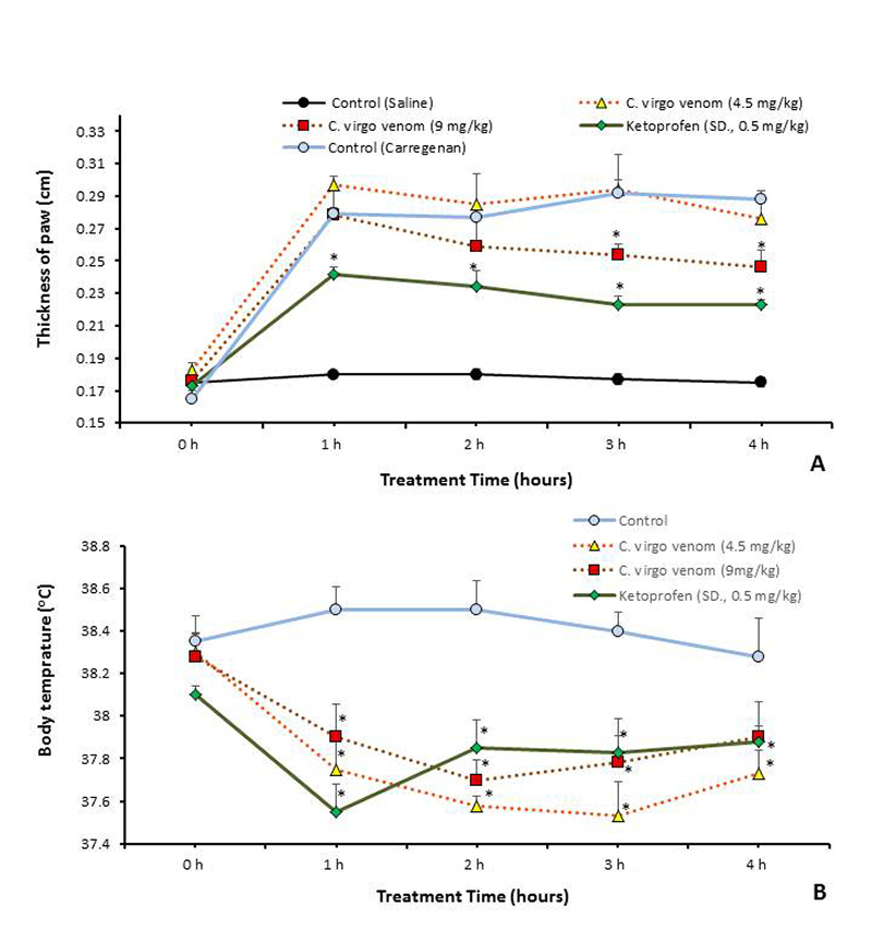 Prospecting for candidate molecules from <i>Conus virgo</i> toxins to develop new biopharmaceuticals.