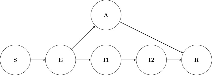 SARS-CoV-2 transmission in university classes.