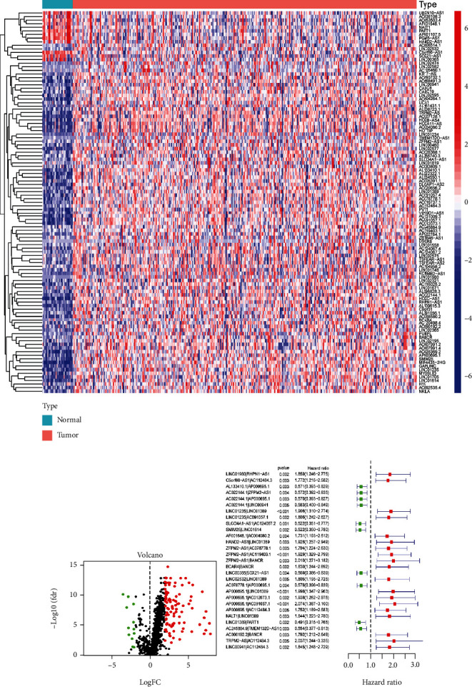 Construction and Comprehensive Prognostic Analysis of a Novel Immune-Related lncRNA Signature and Immune Landscape in Gastric Cancer.