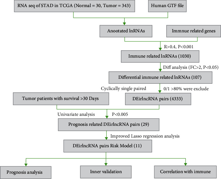 Construction and Comprehensive Prognostic Analysis of a Novel Immune-Related lncRNA Signature and Immune Landscape in Gastric Cancer.