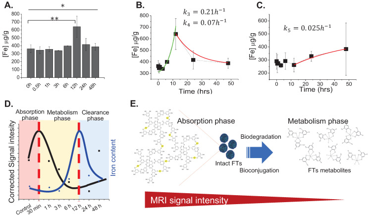 Pharmacokinetic/Pharmacodynamic Determinations of Iron-tannic Molecular Nanoparticles with its Implication in MR Imaging and Enhancement of Liver Clearance.