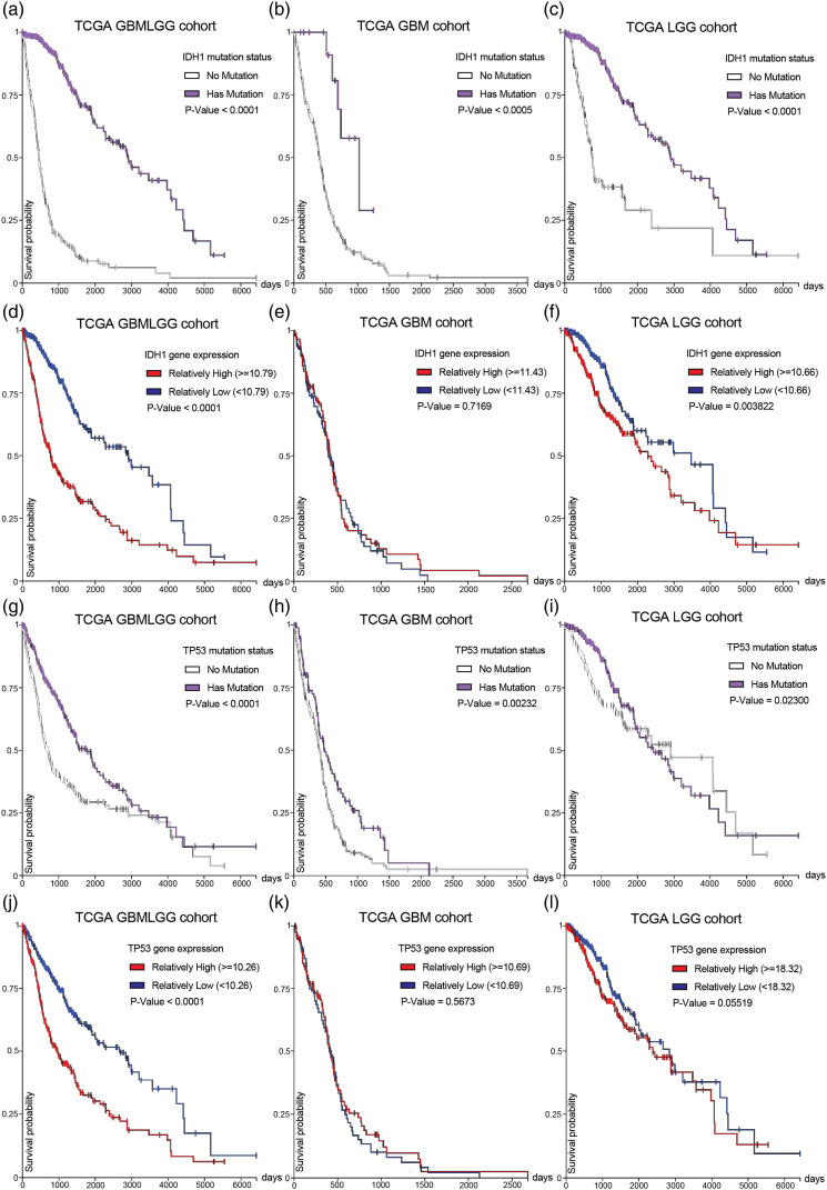 Integrated analysis of the genomic and transcriptional profile of gliomas with isocitrate dehydrogenase-1 and tumor protein 53 mutations.