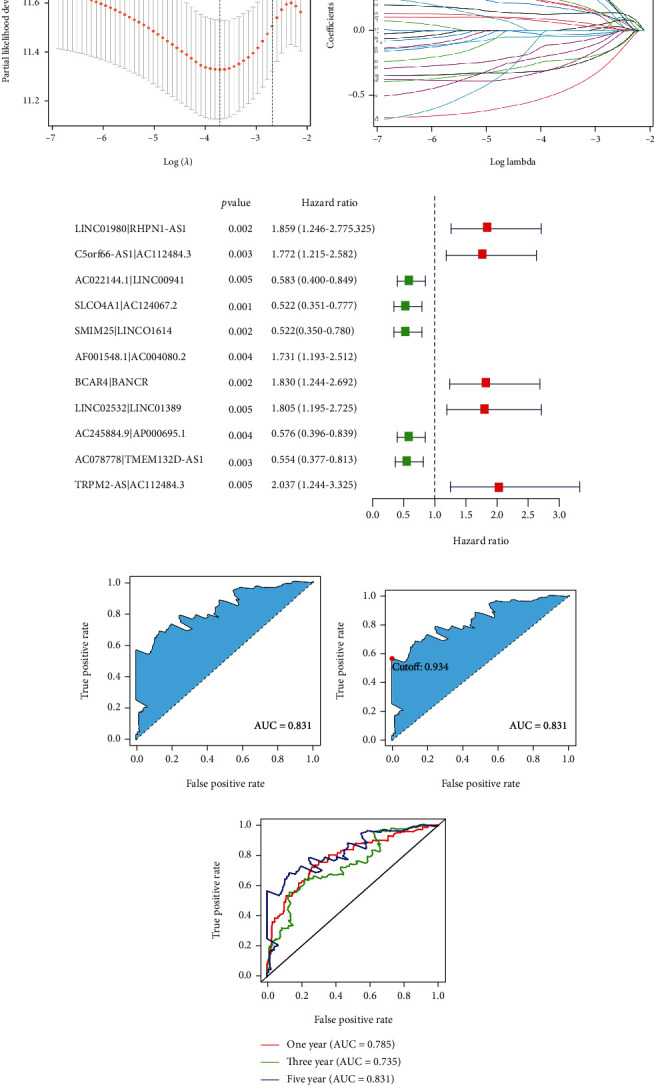 Construction and Comprehensive Prognostic Analysis of a Novel Immune-Related lncRNA Signature and Immune Landscape in Gastric Cancer.