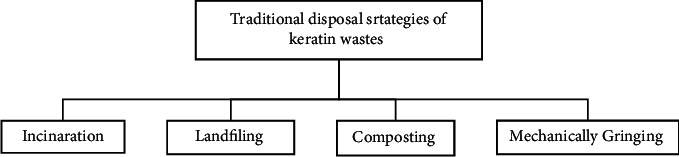 Bioconversion of Keratin Wastes Using Keratinolytic Microorganisms to Generate Value-Added Products.