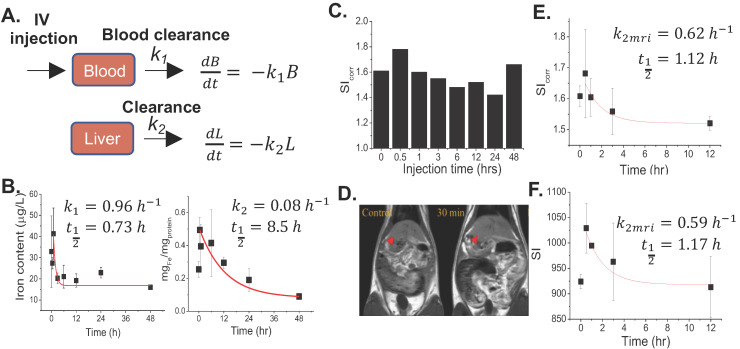 Pharmacokinetic/Pharmacodynamic Determinations of Iron-tannic Molecular Nanoparticles with its Implication in MR Imaging and Enhancement of Liver Clearance.