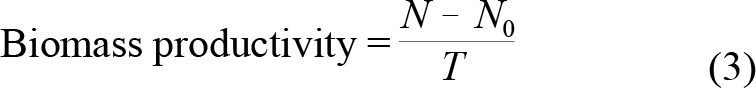 Abstract Image